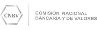 logotipos-reguladores_logo-cnbv